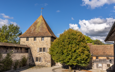 Château de Vaulruz (1627 Vaulruz)