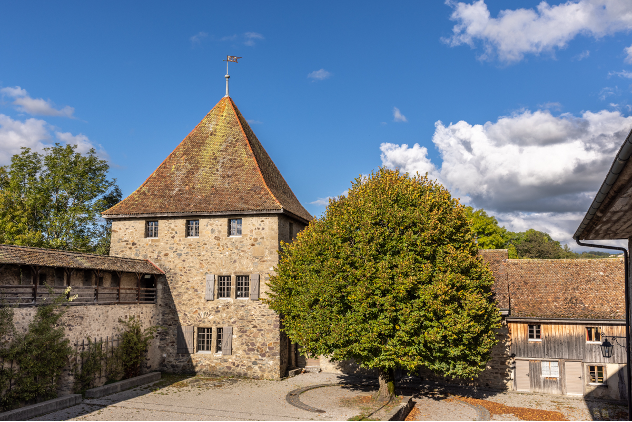 Château de Vaulruz (1627 Vaulruz)