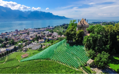 Château du Châtelard (1815 Montreux)