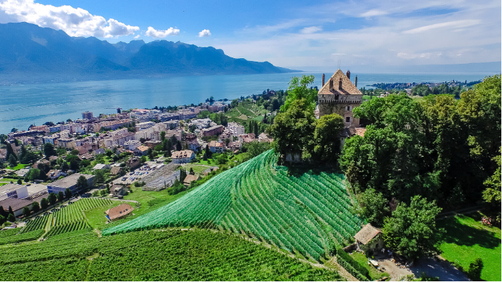Château du Châtelard (1815 Montreux)